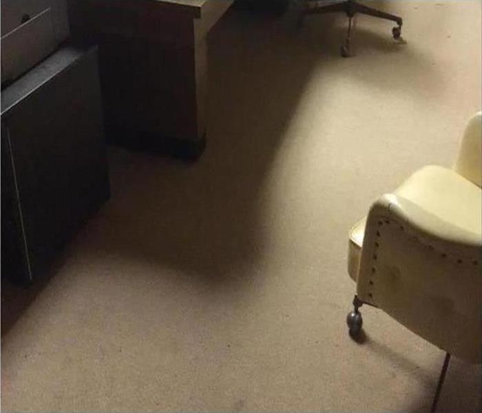 Carpet in an office is clean and restored after water damage.