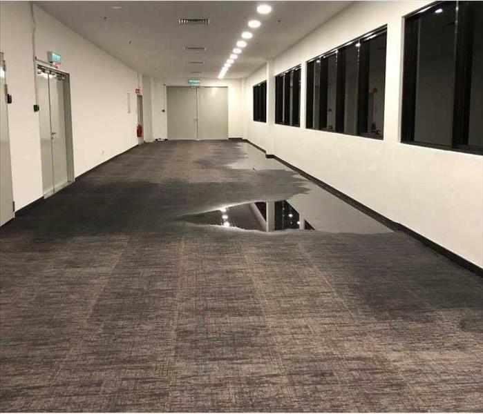 An office building with visibly wet carpeting.
